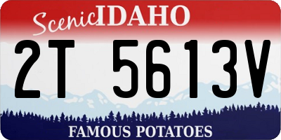 ID license plate 2T5613V