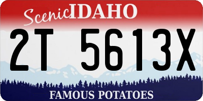 ID license plate 2T5613X
