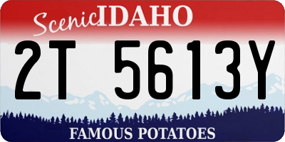 ID license plate 2T5613Y