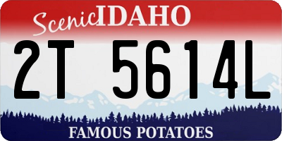 ID license plate 2T5614L
