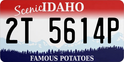 ID license plate 2T5614P