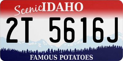 ID license plate 2T5616J