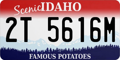 ID license plate 2T5616M