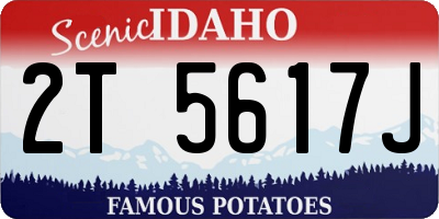 ID license plate 2T5617J