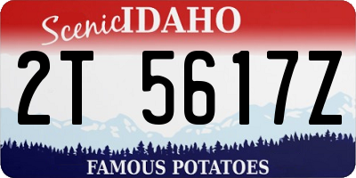 ID license plate 2T5617Z