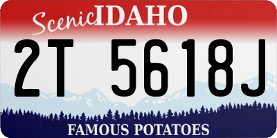 ID license plate 2T5618J