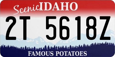 ID license plate 2T5618Z