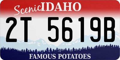 ID license plate 2T5619B