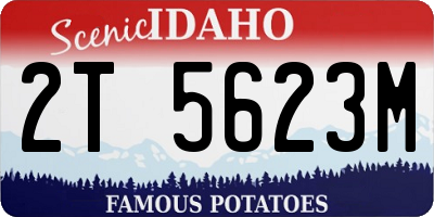 ID license plate 2T5623M