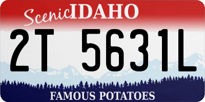 ID license plate 2T5631L