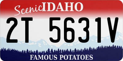ID license plate 2T5631V