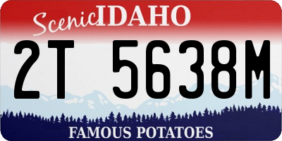 ID license plate 2T5638M