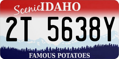 ID license plate 2T5638Y