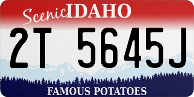 ID license plate 2T5645J