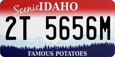ID license plate 2T5656M