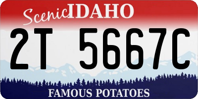 ID license plate 2T5667C