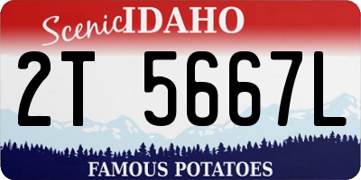 ID license plate 2T5667L