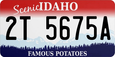 ID license plate 2T5675A