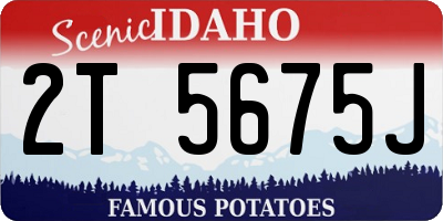ID license plate 2T5675J