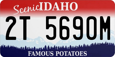 ID license plate 2T5690M