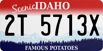 ID license plate 2T5713X