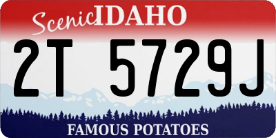ID license plate 2T5729J
