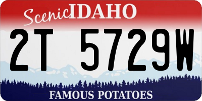 ID license plate 2T5729W