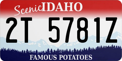 ID license plate 2T5781Z