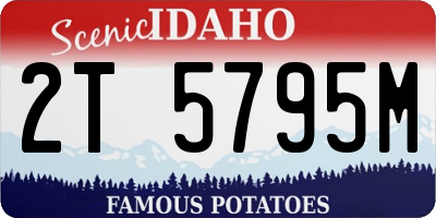ID license plate 2T5795M