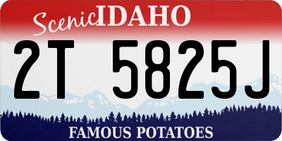 ID license plate 2T5825J