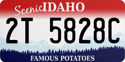 ID license plate 2T5828C
