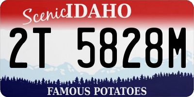 ID license plate 2T5828M