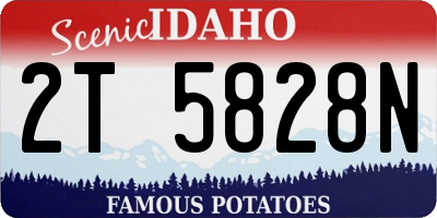 ID license plate 2T5828N