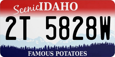 ID license plate 2T5828W