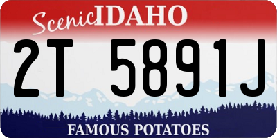 ID license plate 2T5891J