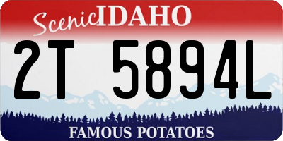ID license plate 2T5894L