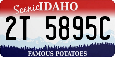 ID license plate 2T5895C