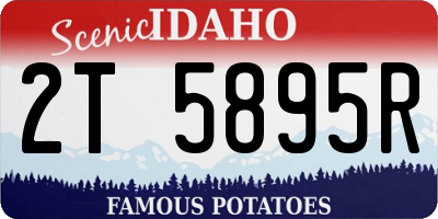 ID license plate 2T5895R