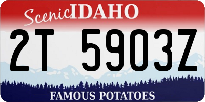 ID license plate 2T5903Z