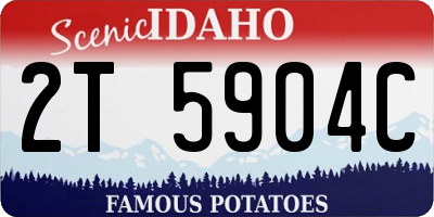 ID license plate 2T5904C