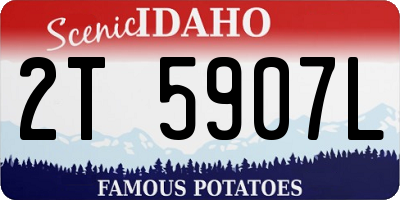 ID license plate 2T5907L
