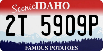 ID license plate 2T5909P