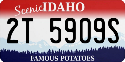ID license plate 2T5909S