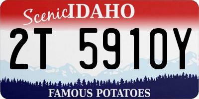 ID license plate 2T5910Y