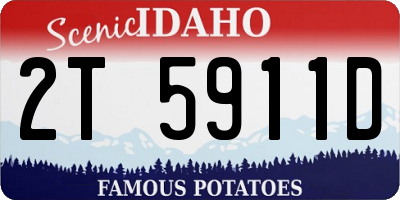 ID license plate 2T5911D