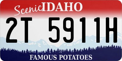 ID license plate 2T5911H