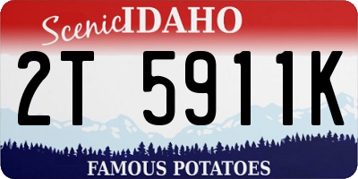 ID license plate 2T5911K