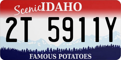 ID license plate 2T5911Y