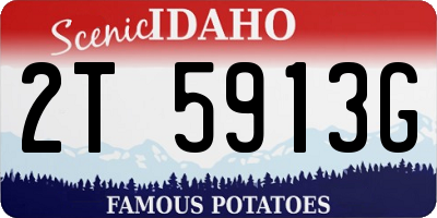 ID license plate 2T5913G