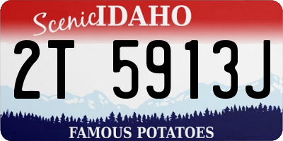ID license plate 2T5913J